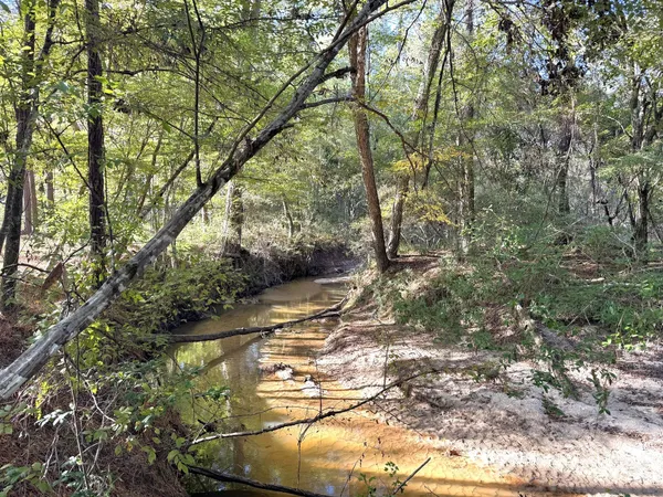 a view of yard with green space
