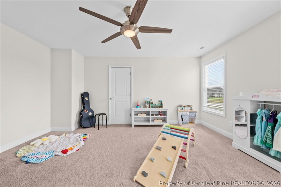 158 Rocking Horse Lane Raeford, NC 28376 - Photo 19 of 33