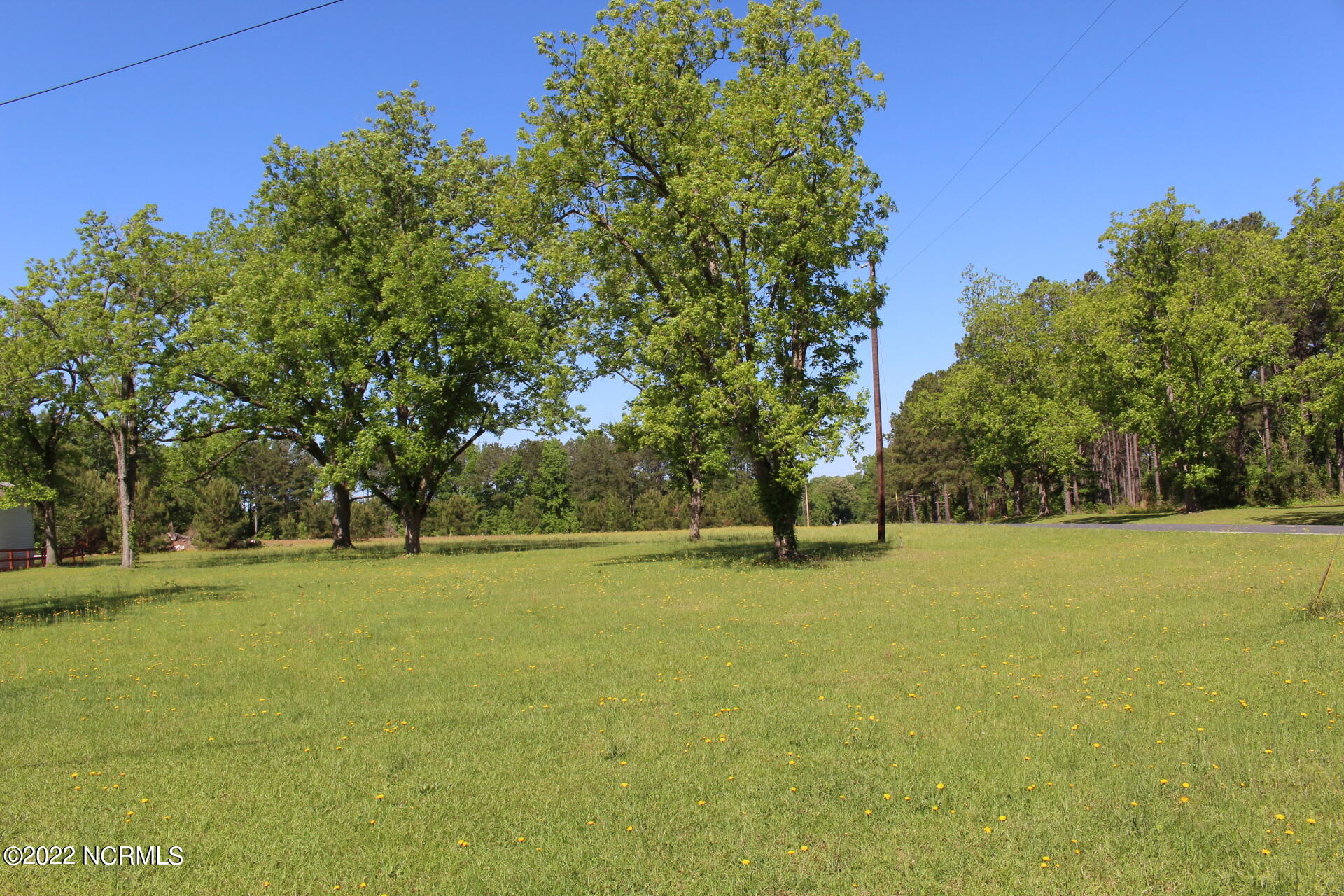0 Green Lake Road Rockingham, NC 28379 - Photo 1 of 3 IMG_2383