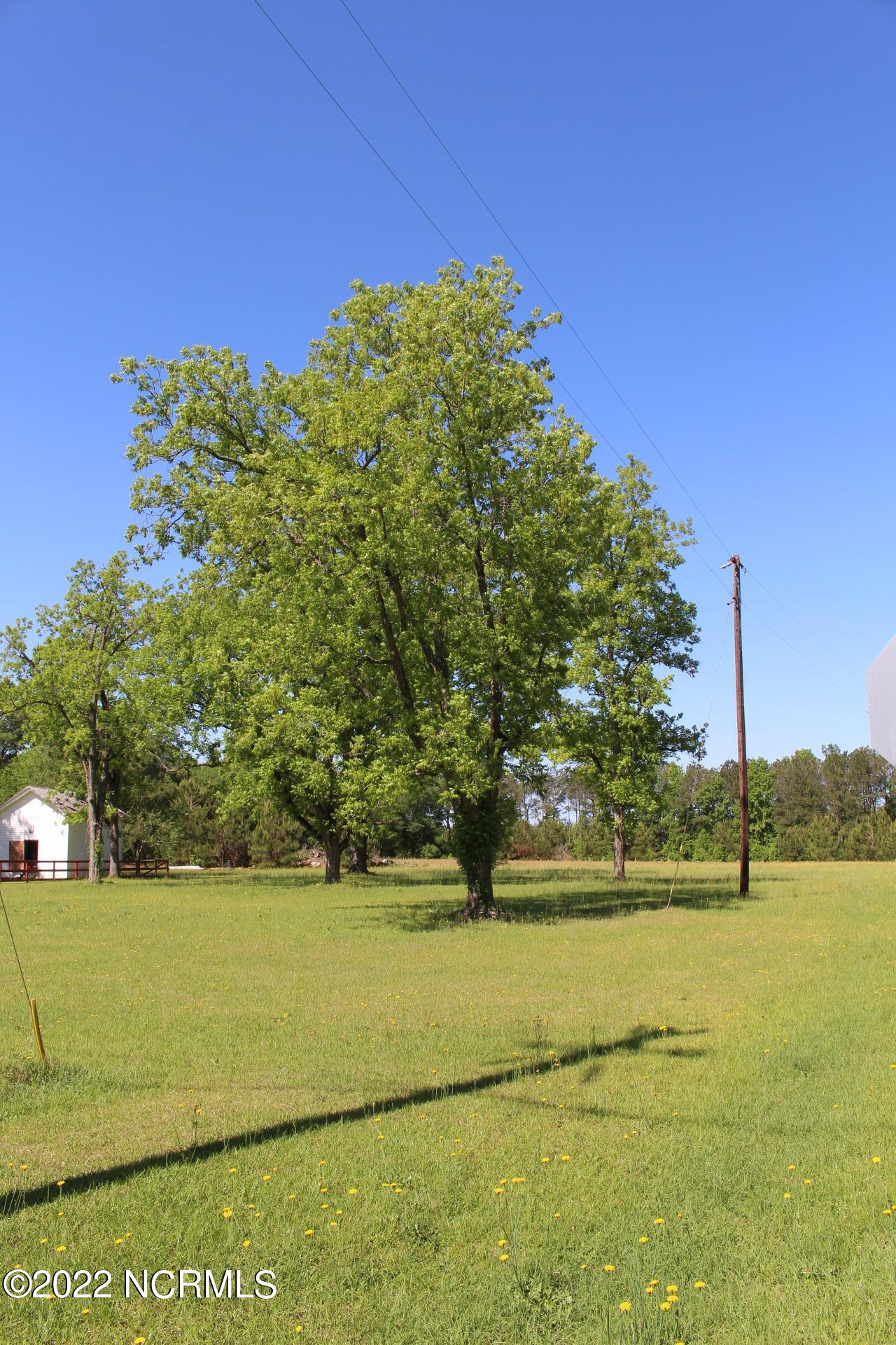 0 Green Lake Road Rockingham, NC 28379 - Photo 2 of 3 IMG_2385
