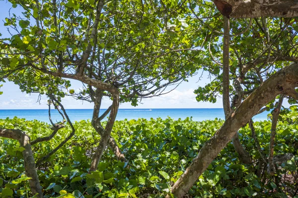 $1,699,999 | 175 Via Rosina, Jupiter, FL 33458