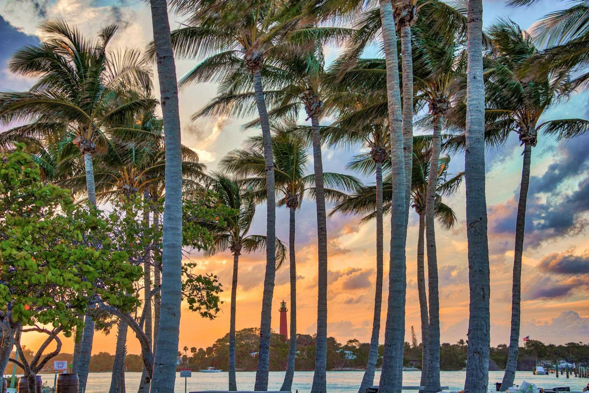 175 Via Rosina Jupiter, FL 33458 - Photo 63 of 63 Sunset over Jupiter Lighthouse