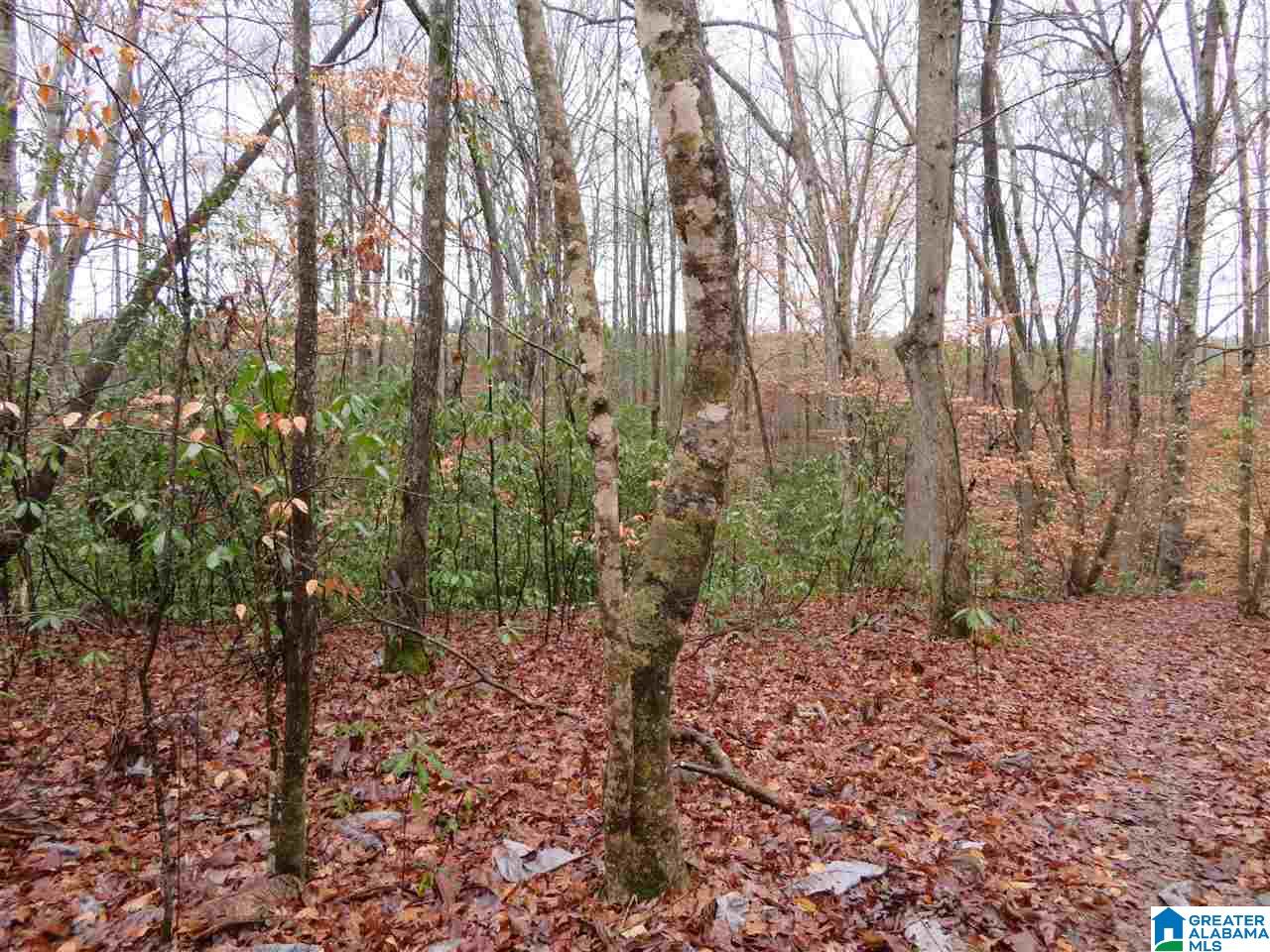138 Cedar Grove Road West Blocton, AL 35184 - Photo 27 of 44