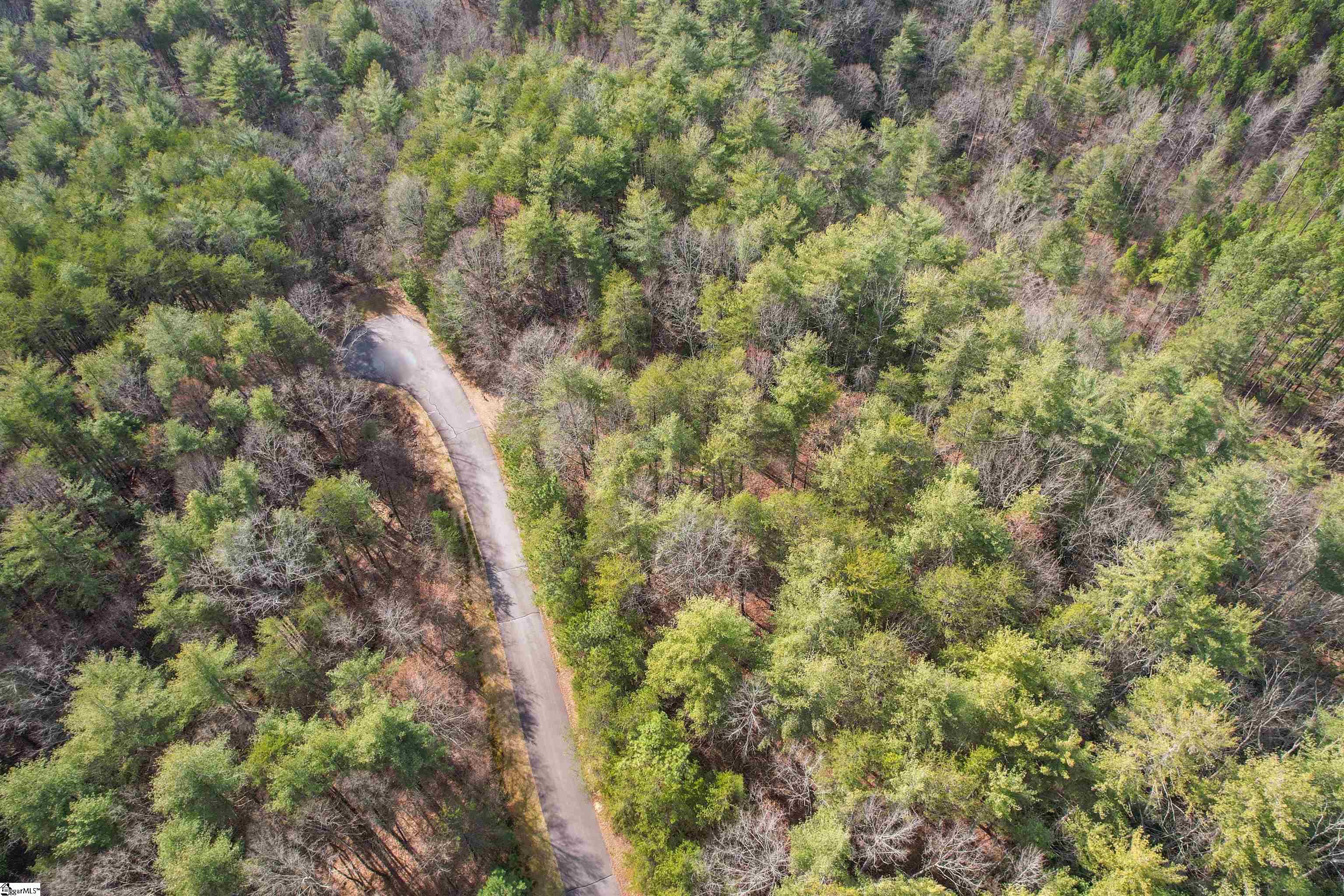 120 Sweetshrub Way Sunset, SC 29685 - Photo 12 of 29 Gallery Image 12