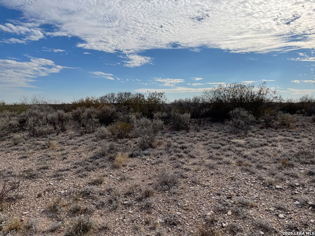 1292 Venado Grande Road Eagle Pass, TX 78852 - Photo 3 of 13