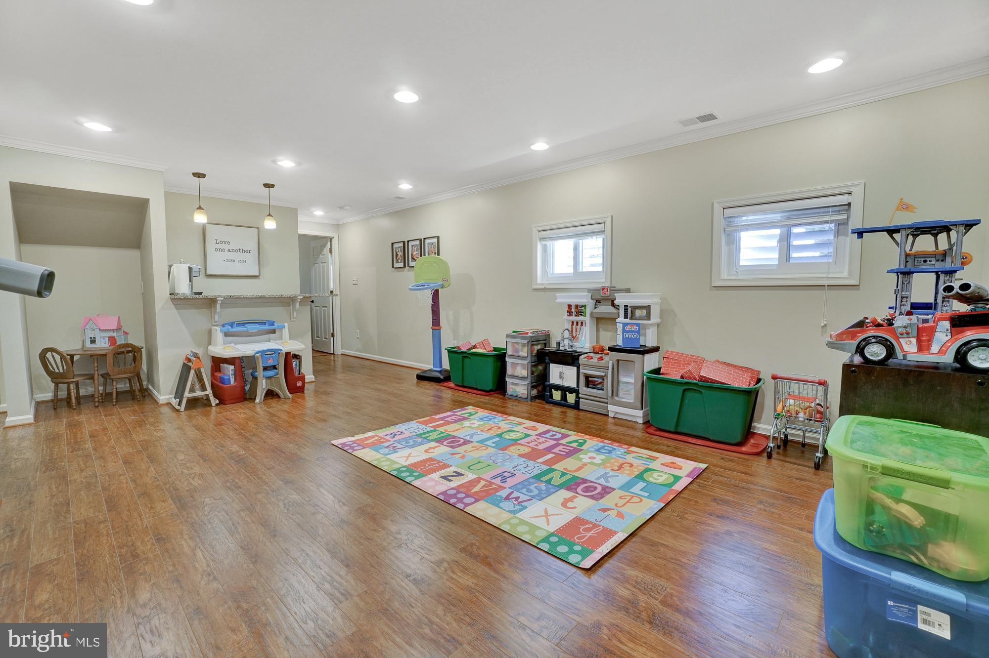 17233 Spates Hill Road Poolesville, MD 20837 - Photo 50 of 66 Natural light in basement