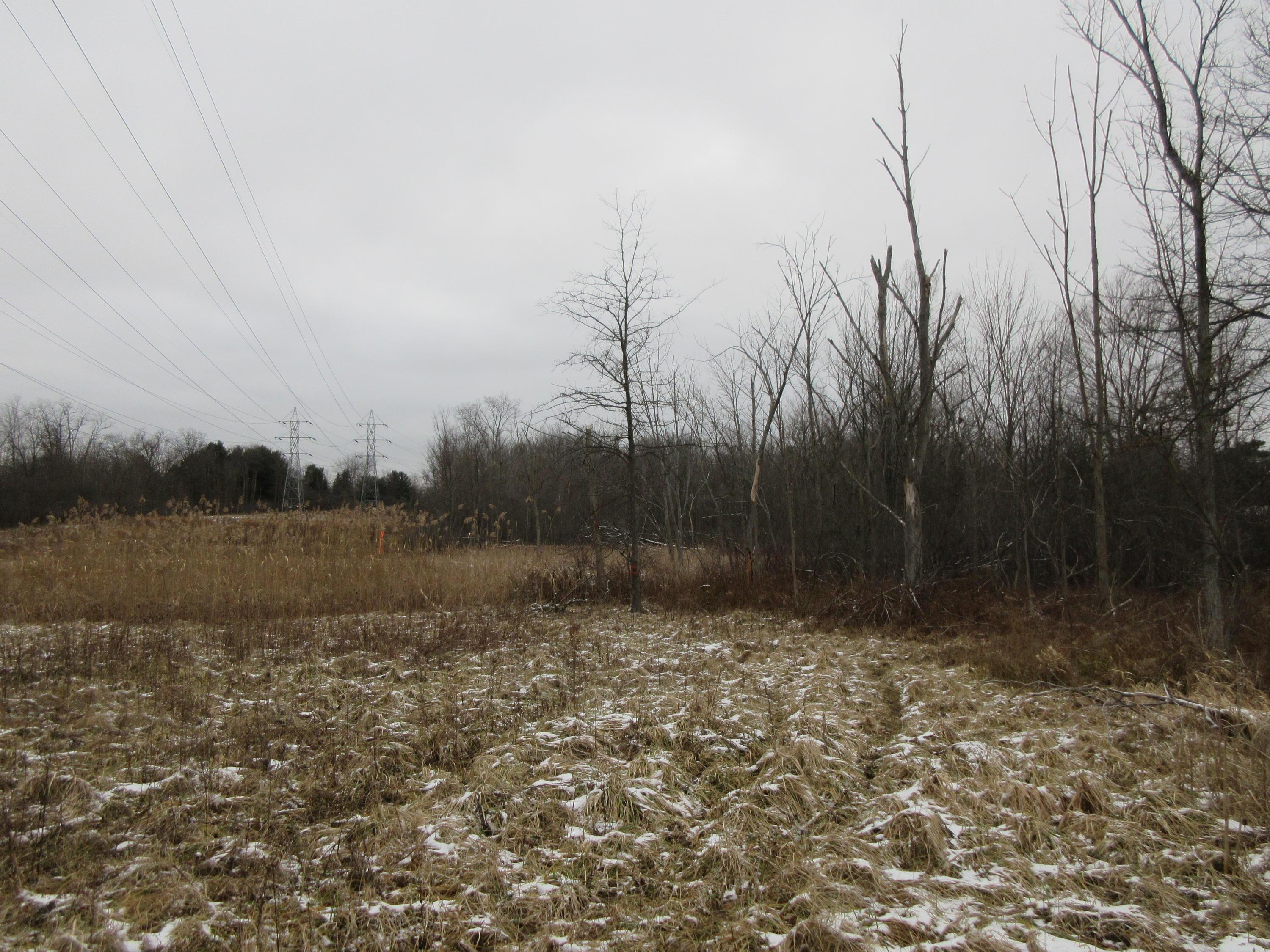 0 Richmond Road Bedford, OH 44146 - Photo 1 of 11