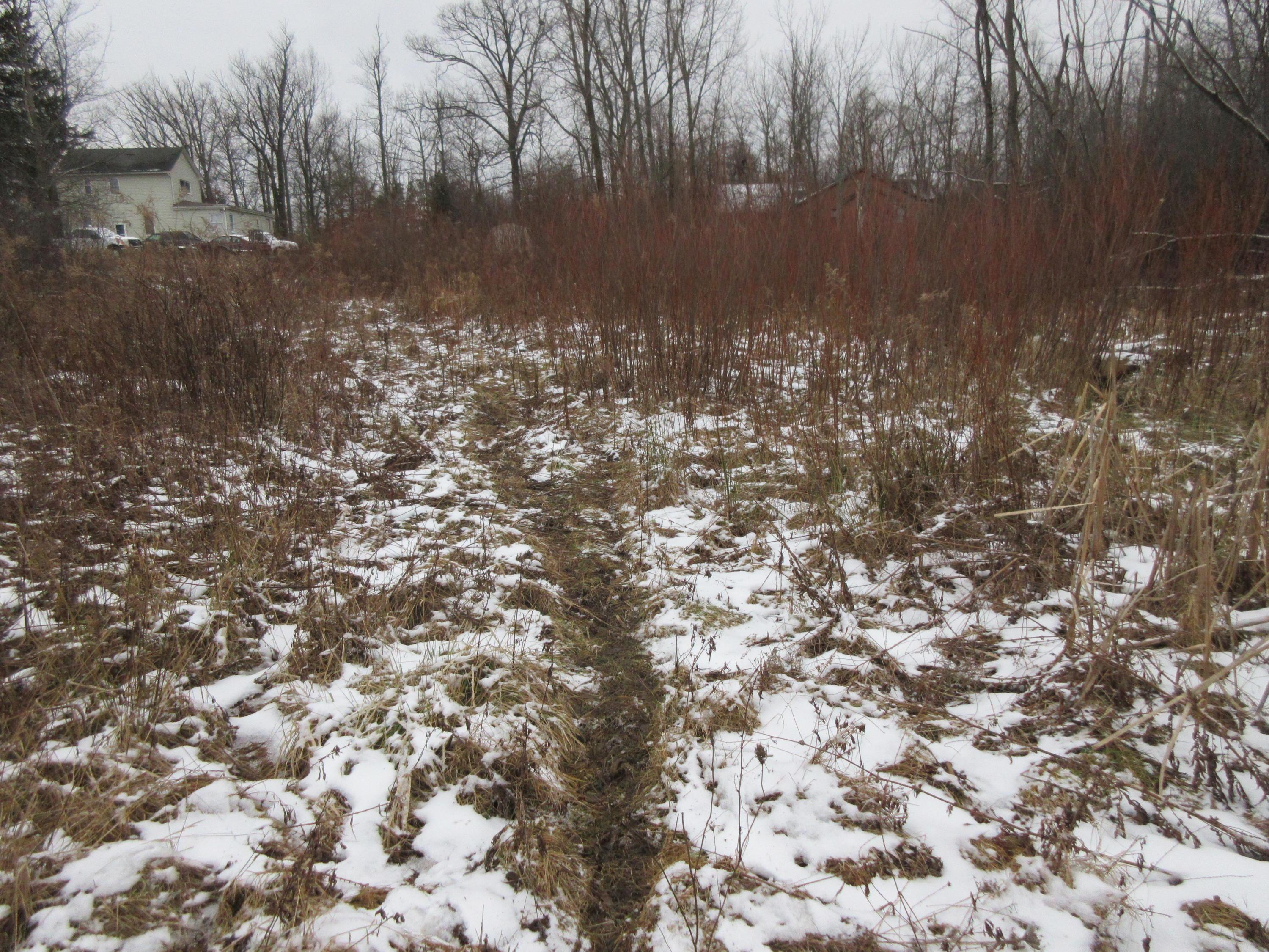 0 Richmond Road Bedford, OH 44146 - Photo 3 of 11