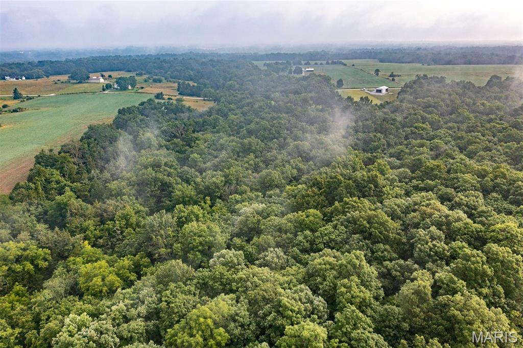 0 Cuivre Ford Road Troy, MO 63379 - Photo 31 of 35