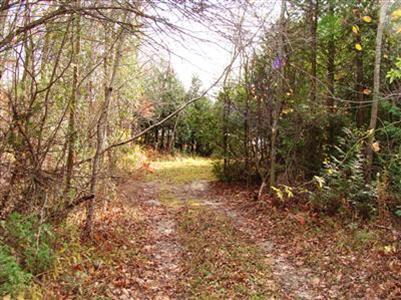 1245 West Anthony Road Custer, MI 49405 - Photo 10 of 18 Additional Photo