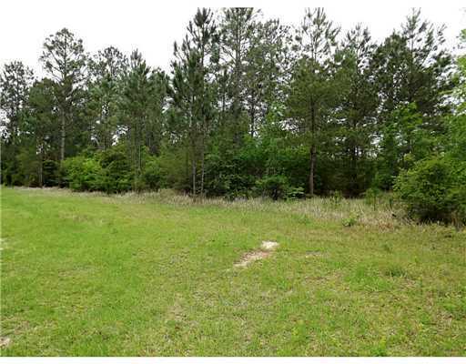 Lot 17 Lot Road Lucedale, MS 39452 - Photo 2 of 7 Additional Photo