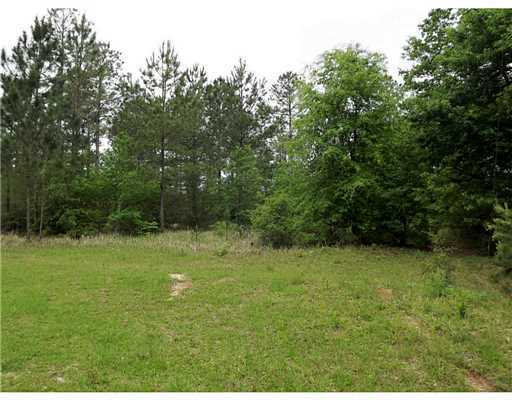 Lot 17 Lot Road Lucedale, MS 39452 - Photo 4 of 7 Additional Photo