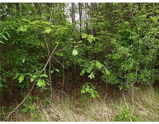 Lot 17 Lot Road Lucedale, MS 39452 - Photo 5 of 7 Additional Photo