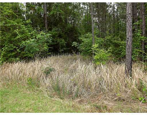 Lot 17 Lot Road Lucedale, MS 39452 - Photo 6 of 7 Additional Photo