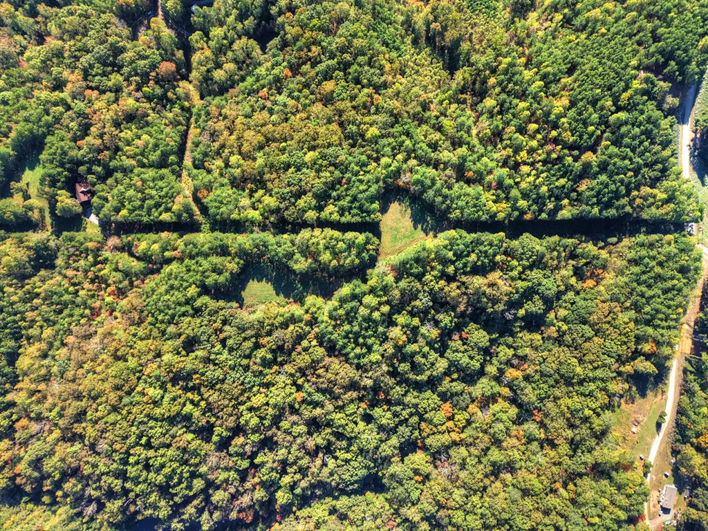 523 Long Branch Road Ranger, GA 30734 - Photo 12 of 56 a view of a large yard