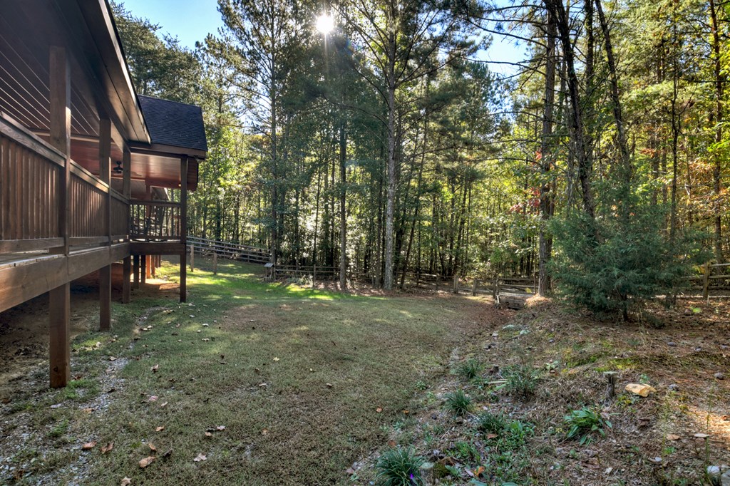 523 Long Branch Road Ranger, GA 30734 - Photo 16 of 56 a view of a park with large trees