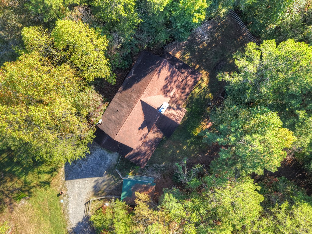523 Long Branch Road Ranger, GA 30734 - Photo 2 of 56 a view of house with a tree