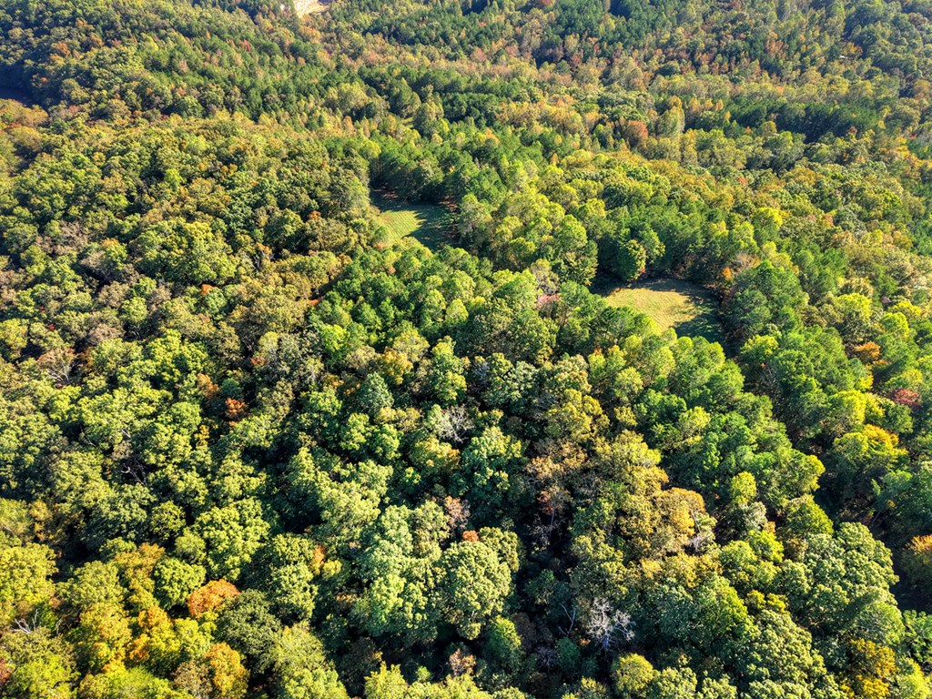 523 Long Branch Road Ranger, GA 30734 - Photo 52 of 56