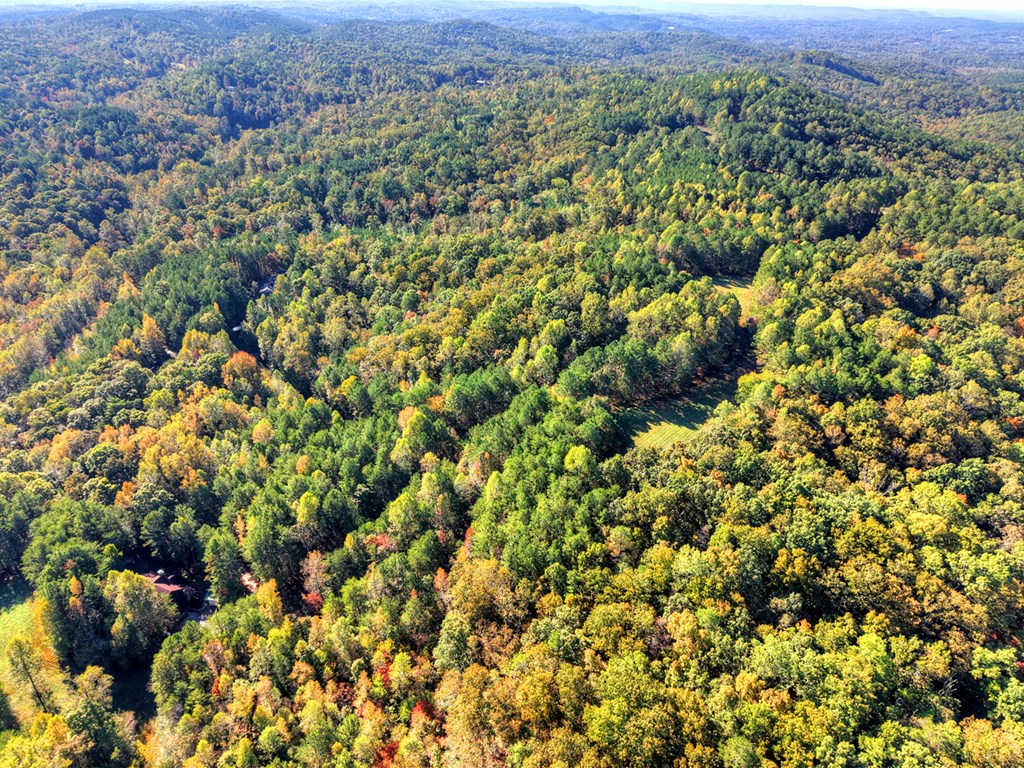 523 Long Branch Road Ranger, GA 30734 - Photo 53 of 56 an aerial view of a houses with a yard
