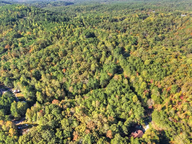 $1,049,000 | 523 Long Branch Road, Ranger, GA 30734