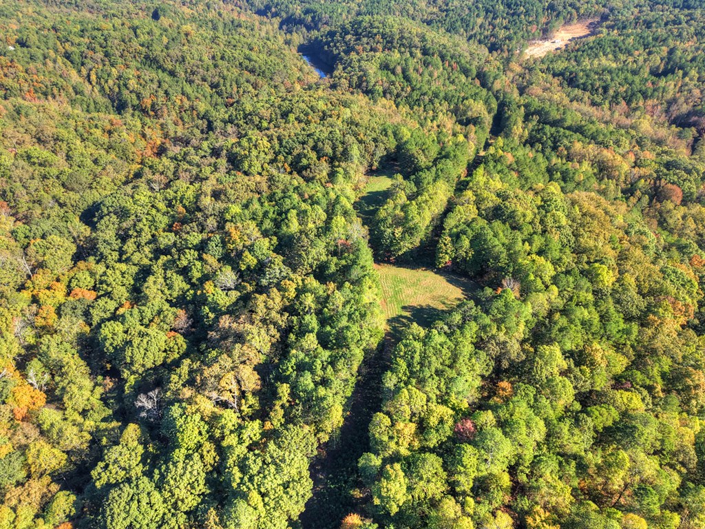 523 Long Branch Road Ranger, GA 30734 - Photo 6 of 56