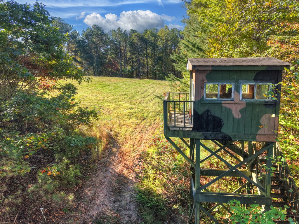 523 Long Branch Road Ranger, GA 30734 - Photo 9 of 56