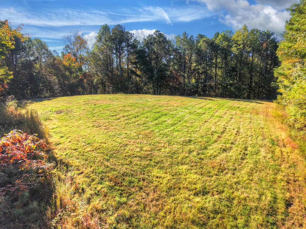 523 Long Branch Road Ranger, GA 30734 - Photo 10 of 56 a view of yard with swimming pool and trees in the background