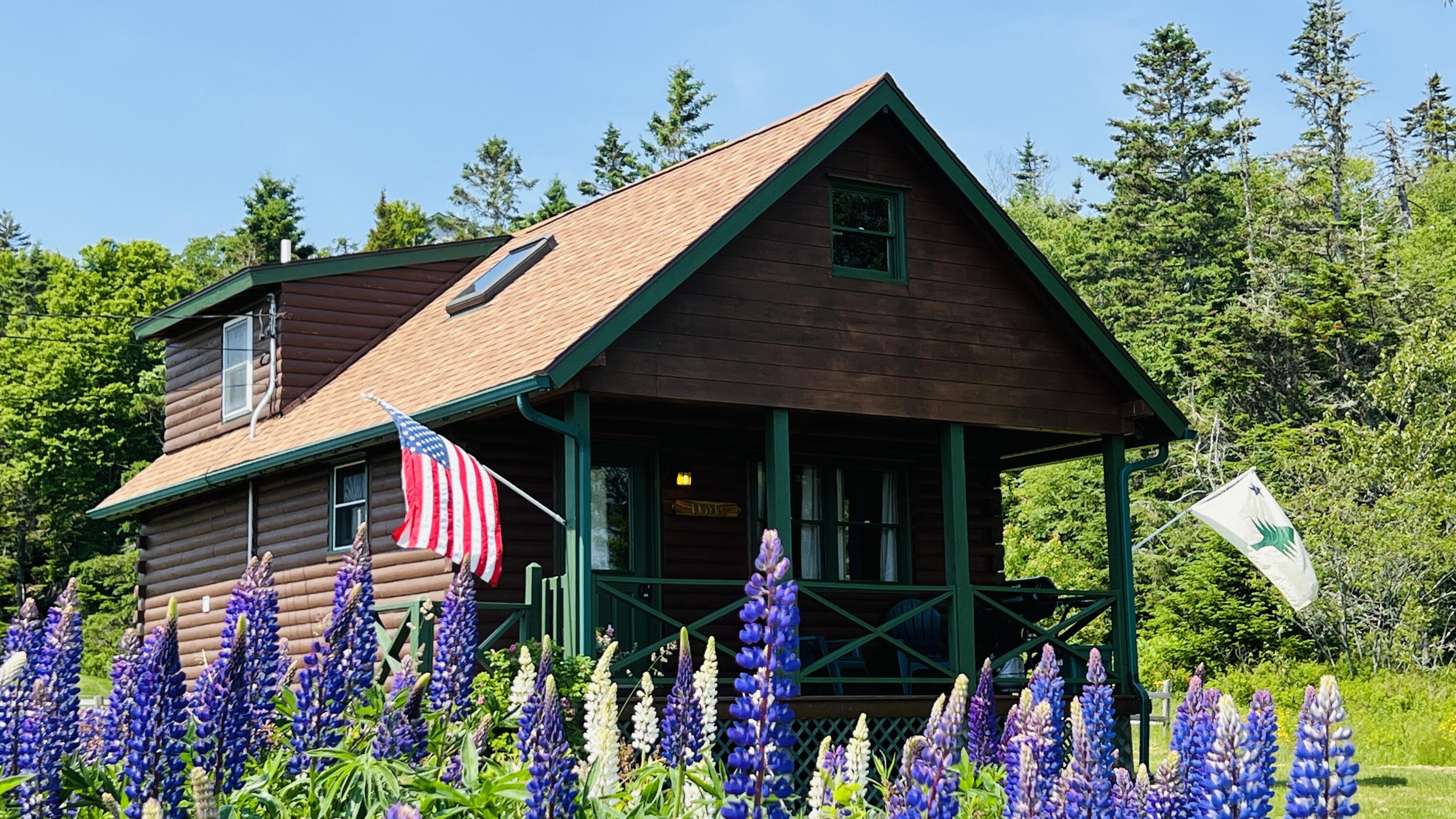 1 Cecelias Way Lubec, ME 04652 - Photo 1 of 22 IMG_0246