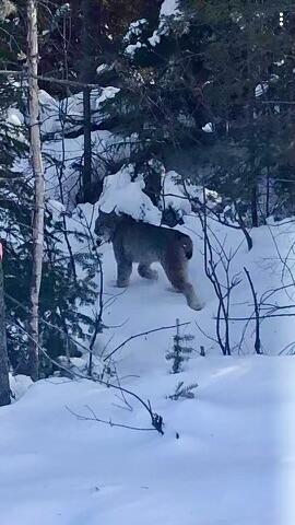 1 Cecelias Way Lubec, ME 04652 - Photo 17 of 22 IMG_3305