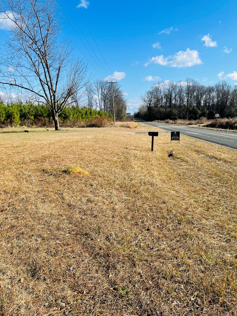 3049 Willow Swamp Road Norway, SC 29113 - Photo 3 of 12 front yard view