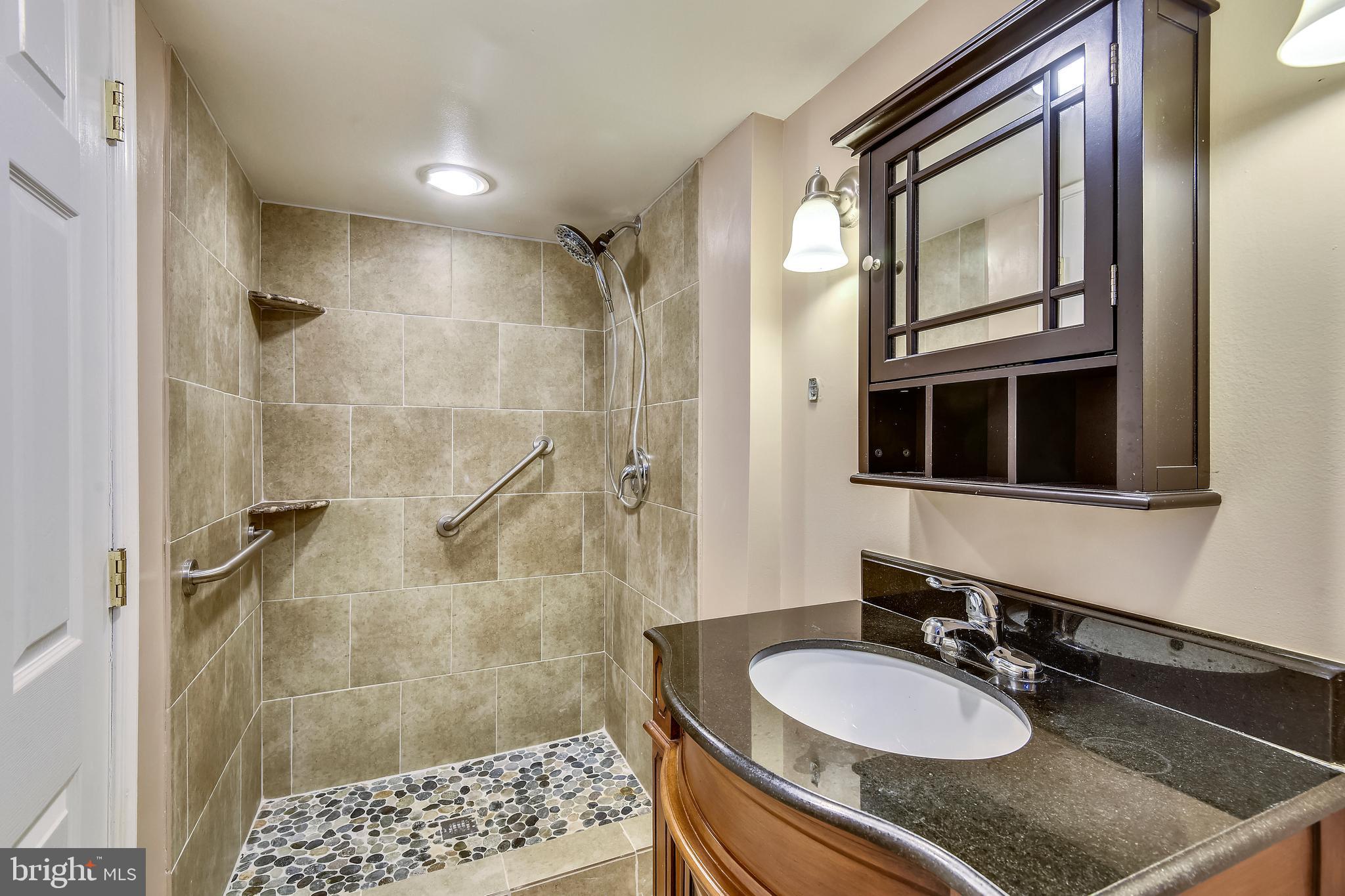 1407 North Glebe Road Arlington, VA 22207 - Photo 8 of 43 Bathroom