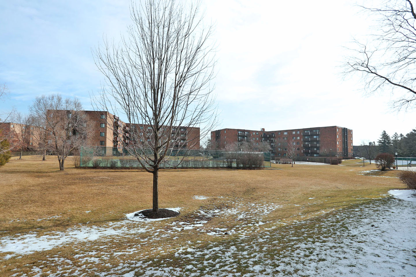 815 Leicester Road, Unit 108 Elk Grove Village, IL 60007 - Photo 27 of 34 a street view with large trees