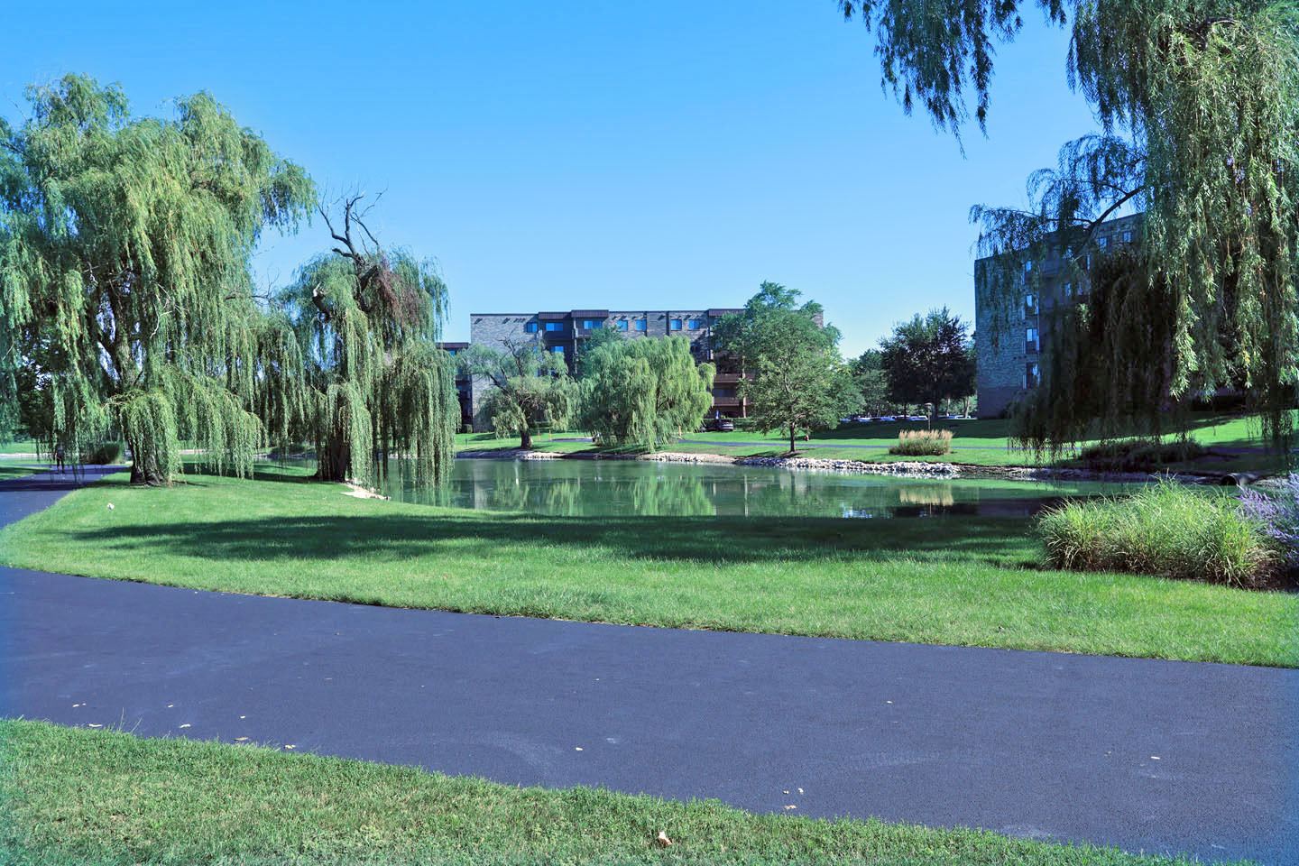 815 Leicester Road, Unit 108 Elk Grove Village, IL 60007 - Photo 29 of 34 a view of a park and trees
