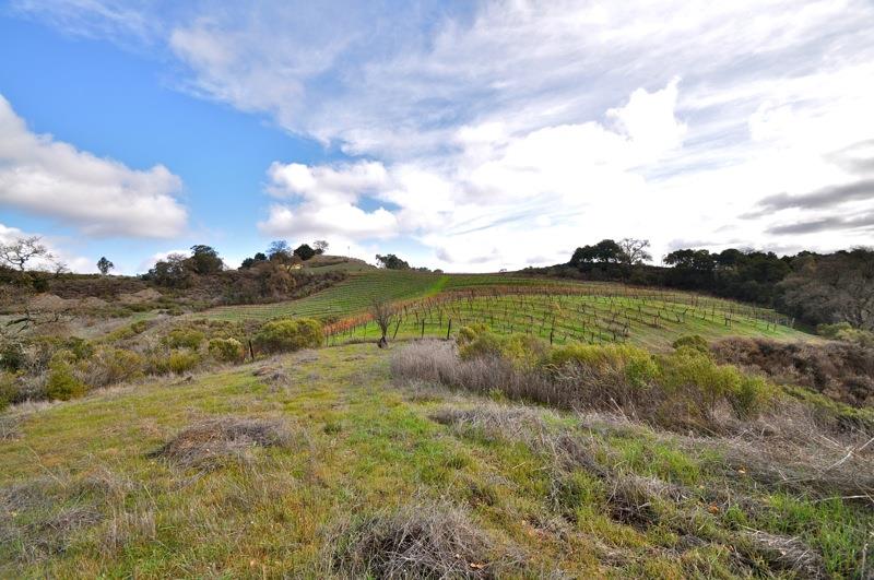 0 Mt Eden Road Saratoga, CA 95070 - Photo 2 of 27