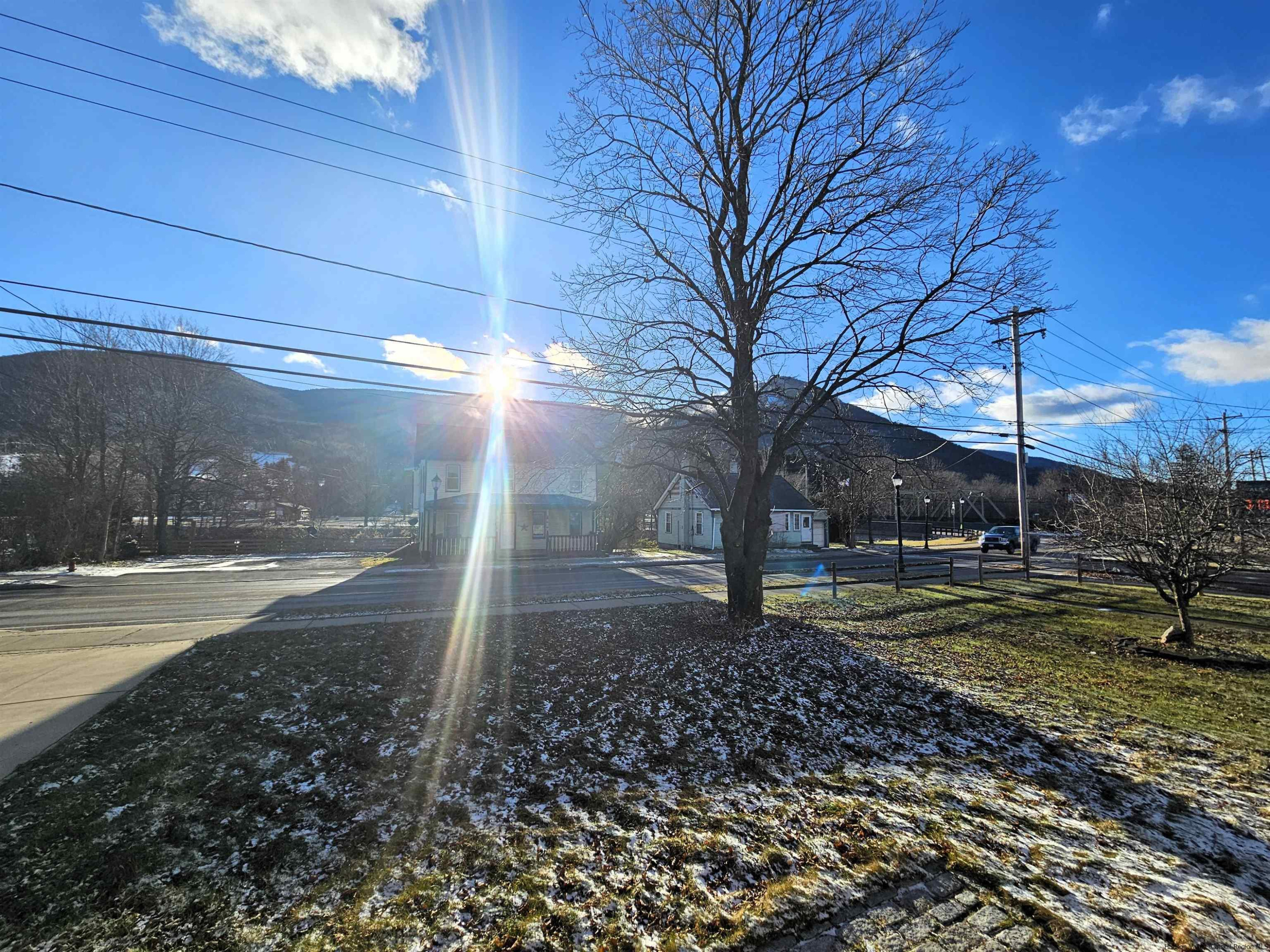 7732 Main Street Hunter, NY 12442 - Photo 23 of 25 a view of a yard with of trees