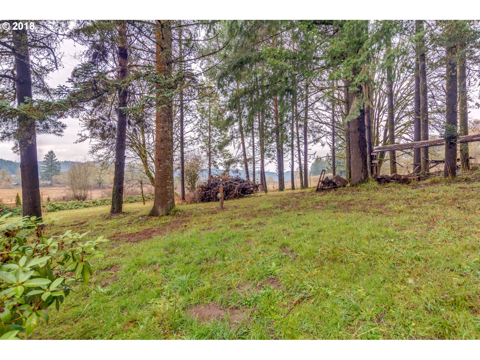 49572 Southwest South Road Gaston, OR 97119 - Photo 23 of 32 a view of a field with trees in the background