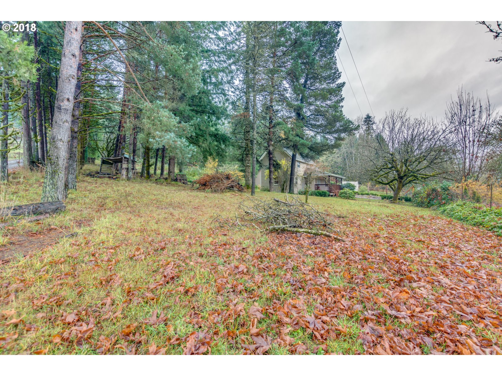 49572 Southwest South Road Gaston, OR 97119 - Photo 24 of 32 a view of backyard with green space