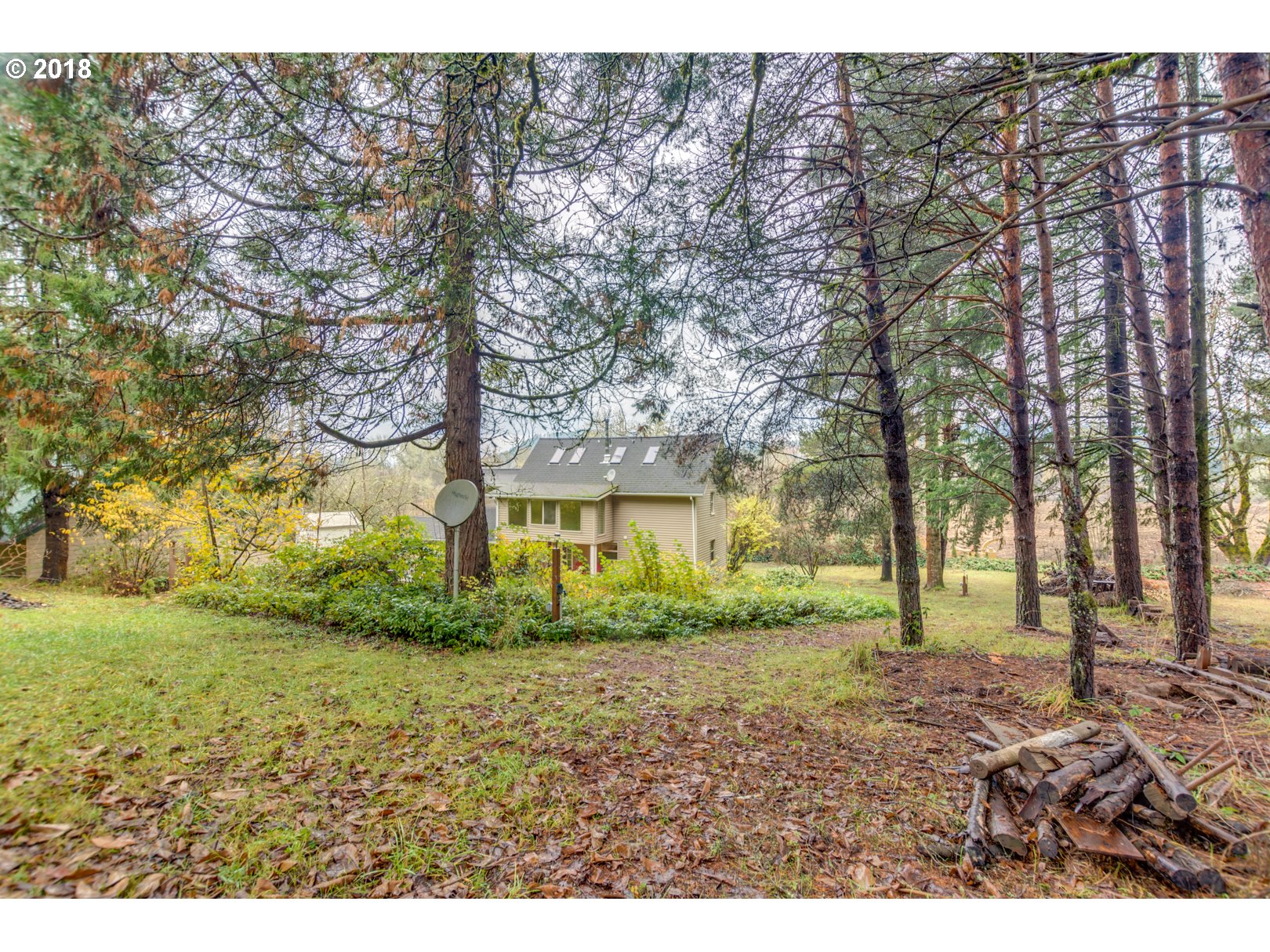 49572 Southwest South Road Gaston, OR 97119 - Photo 25 of 32 a view of a yard with plants and trees