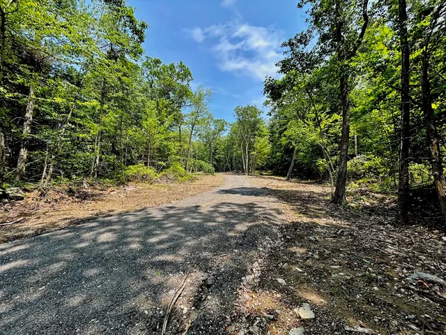 a view of outdoor space with trees all around