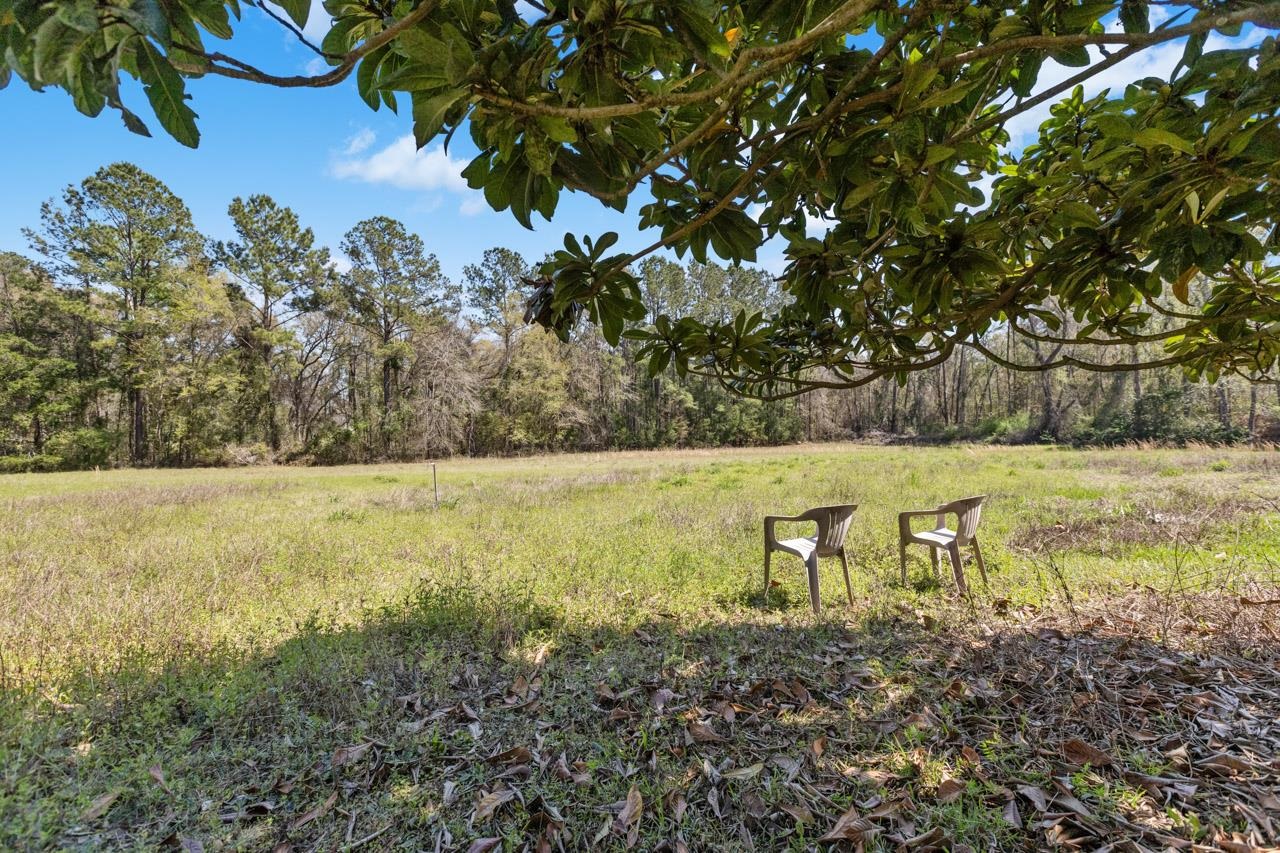 2436 North Jefferson Street Monticello, FL 32344 - Photo 13 of 42