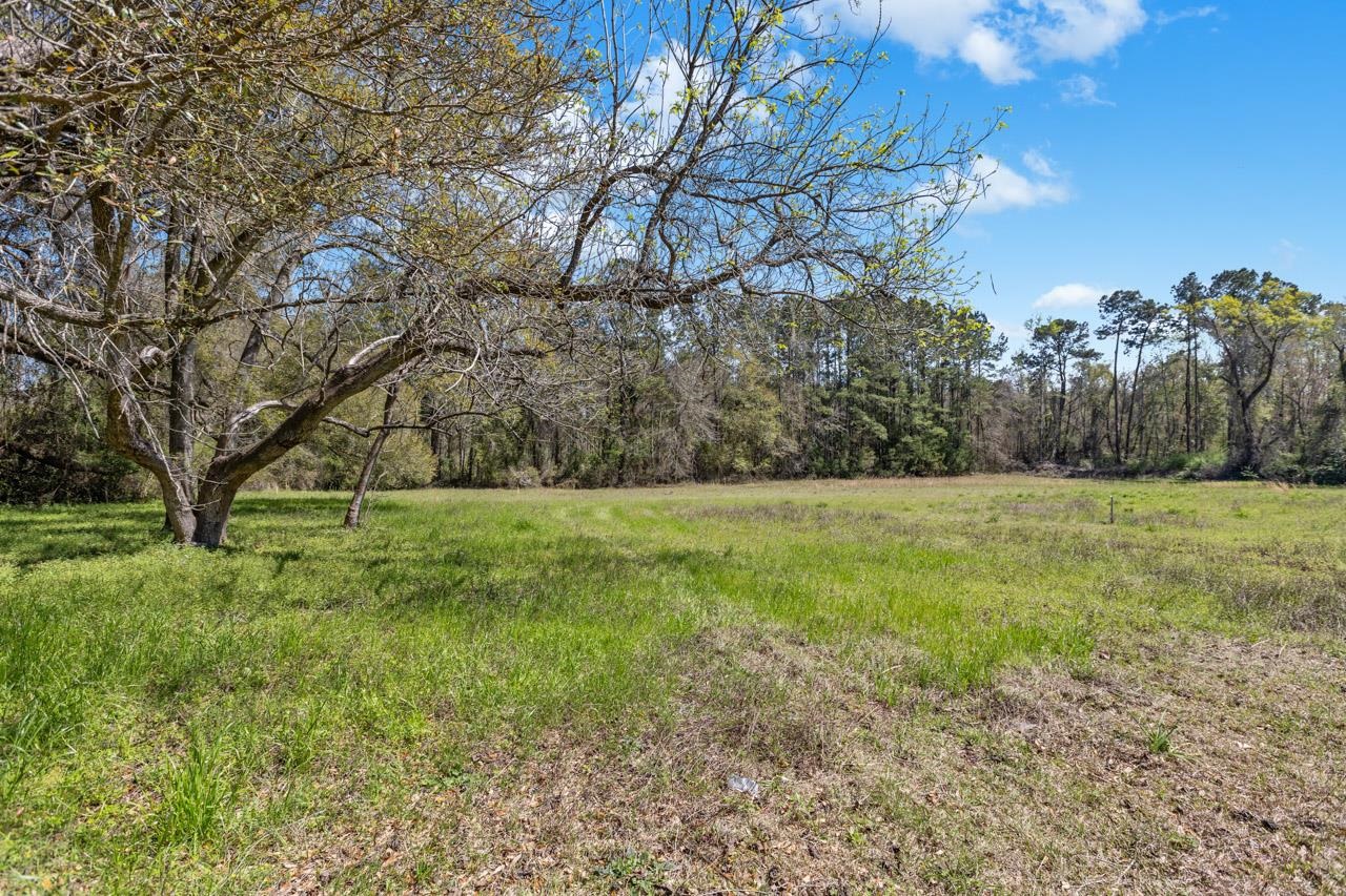 2436 North Jefferson Street Monticello, FL 32344 - Photo 14 of 42