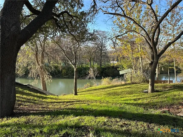 a view of a park with large trees