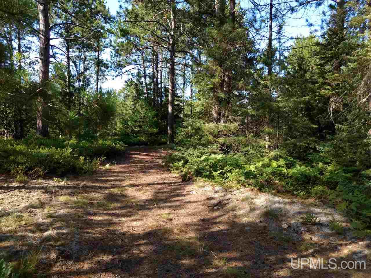 Unit 38-tbd Little Rice Lake Road, Unit 38 Lake Linden, MI 49945 - Photo 6 of 28