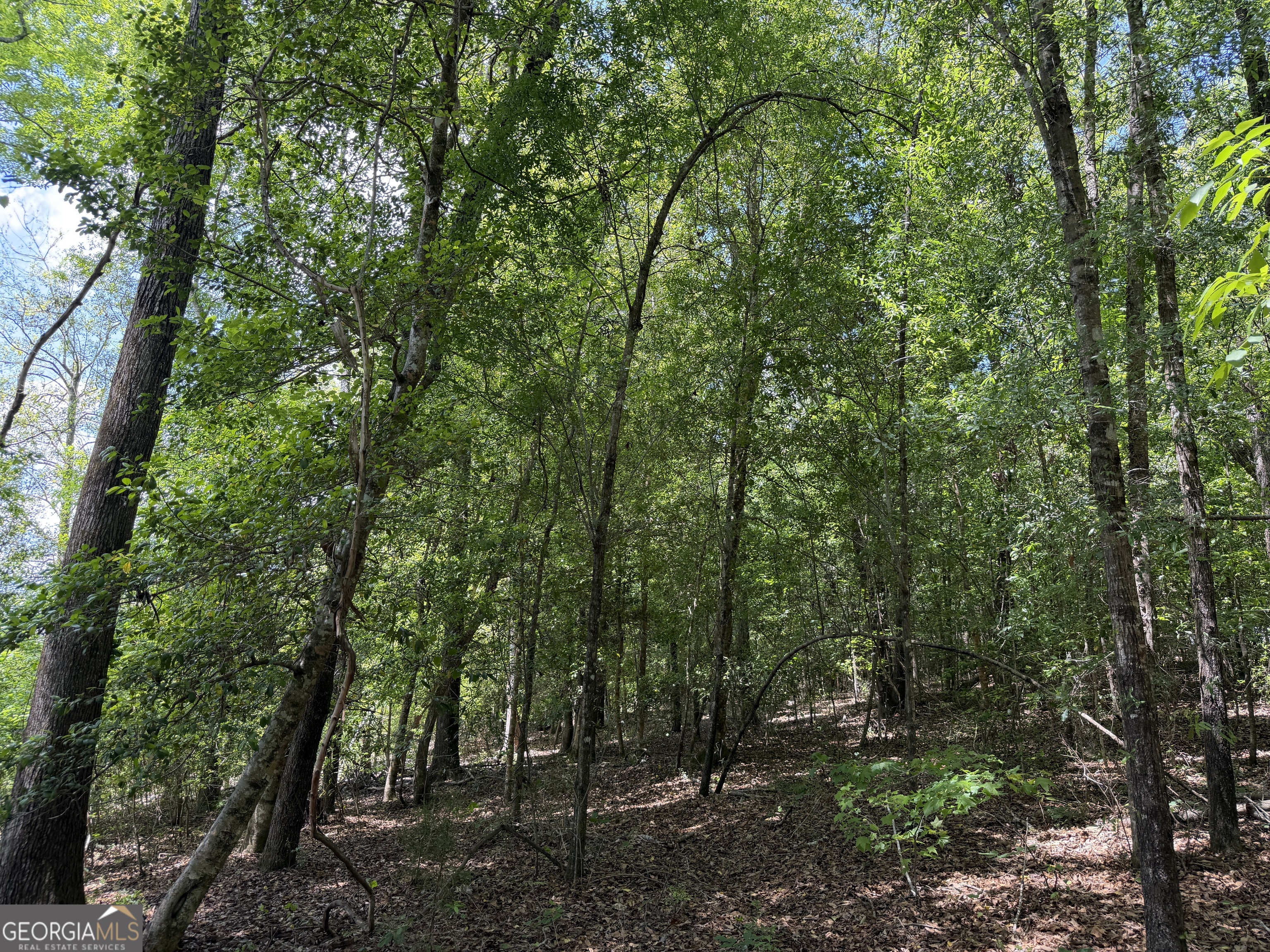 8 Little Sandy Creek Road Toomsboro, GA 31090 - Photo 4 of 12