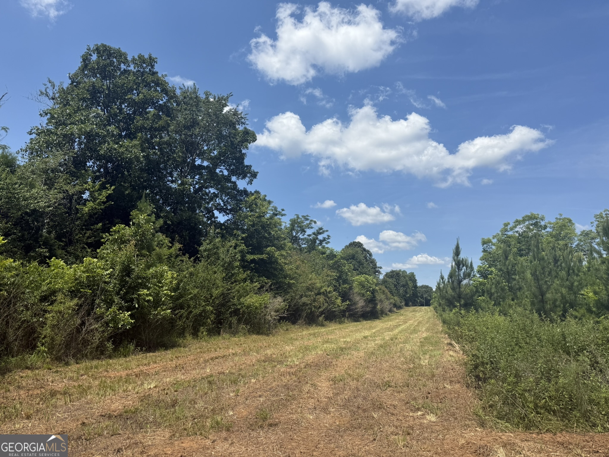 4 Fountain Bridge Road Cuthbert, GA 39840 - Photo 1 of 7