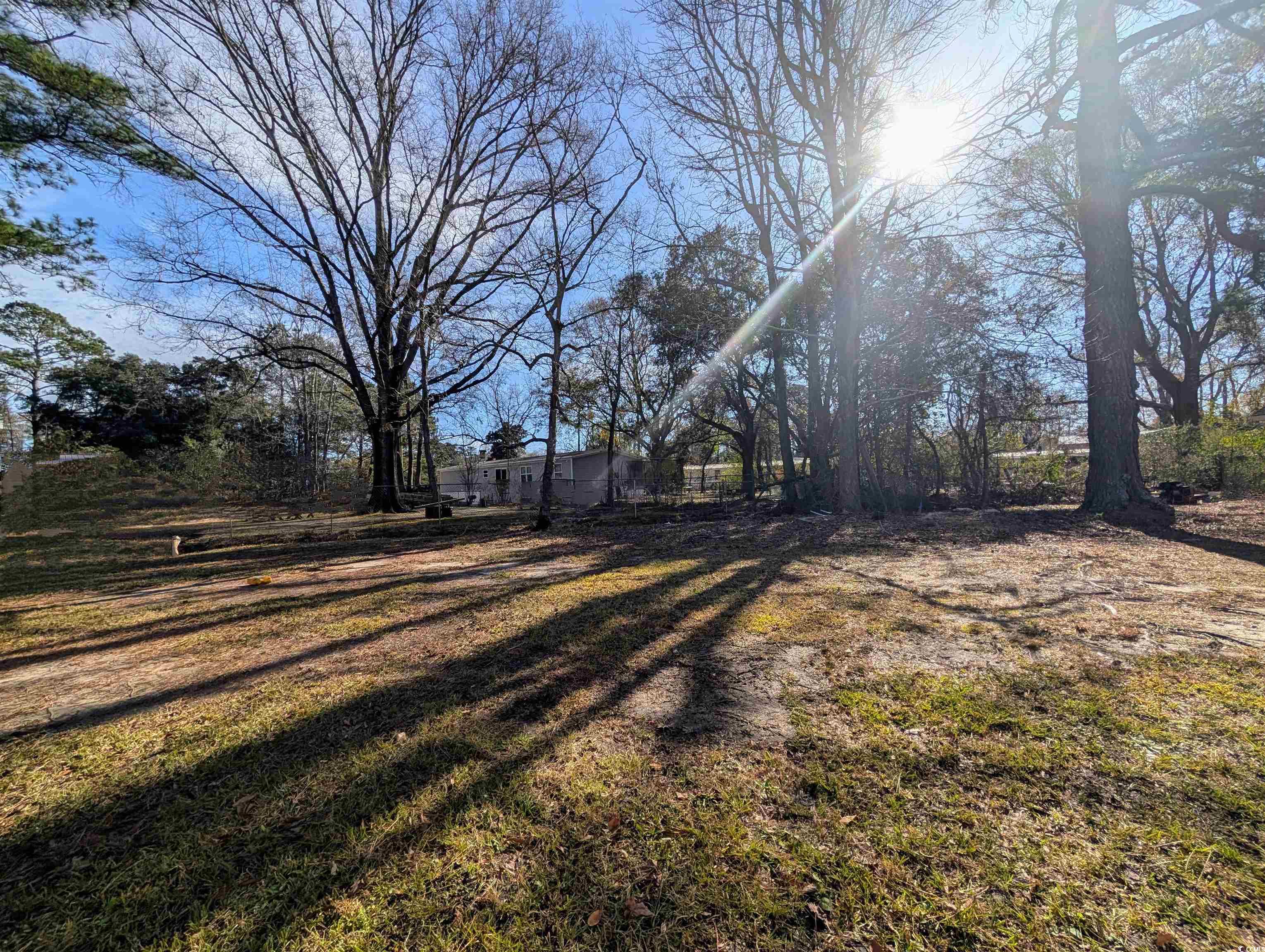 334 County Rd S-22-673 Georgetown, SC 29440 - Photo 6 of 21 View of yard