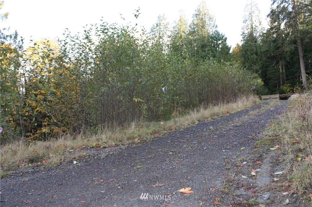 29013 Southeast Issaquah-Fall City Road Fall City, WA 98024 - Photo 9 of 23 Gallery Image 9