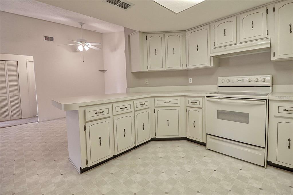 7328 Flyway Drive Spring Hill, FL 34607 - Photo 13 of 43