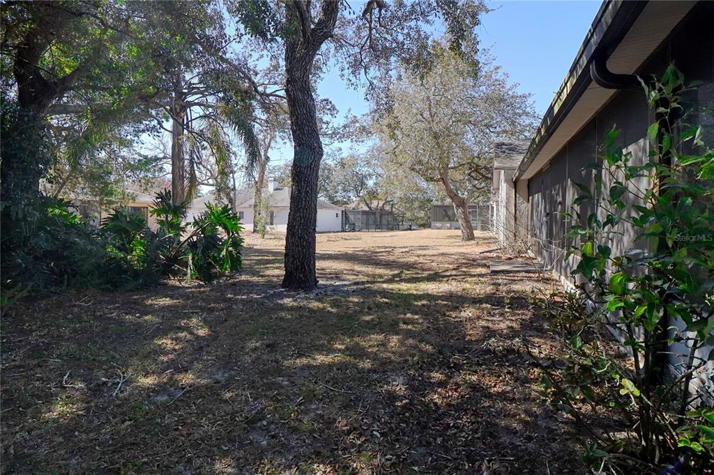 7328 Flyway Drive Spring Hill, FL 34607 - Photo 39 of 43