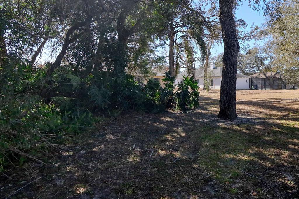 7328 Flyway Drive Spring Hill, FL 34607 - Photo 40 of 43